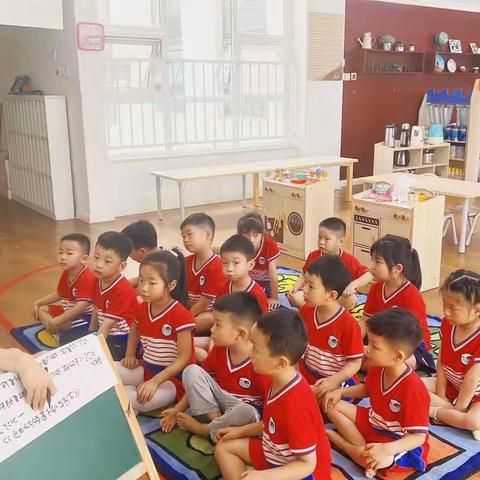 睿德姆幼儿园（金信园）208中班一日活动总结7月24日星期一