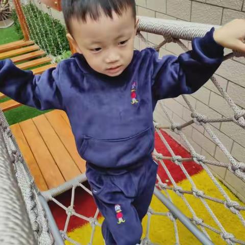 每天坚持半小时的晨间感统训练，持之以恒，孩子身心健康发展会获得意想不到的效果。