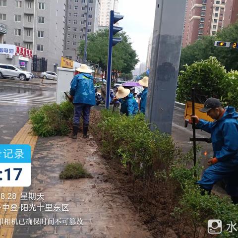 雨天工作不停歇 补栽撒籽绿化忙