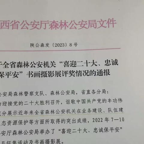 陈仓公安分局坪头森林派出所        席雪荣获全省森林公安书画摄                   影展书画作品优秀奖