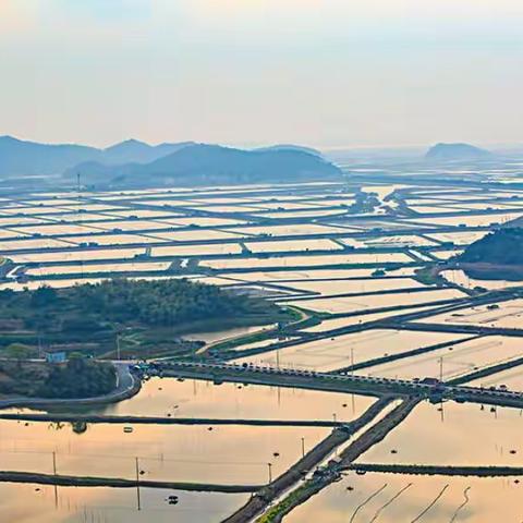 【主流文学】• 沧海桑田