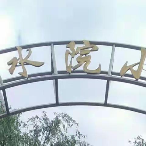 【劳动教育】今日我当厨——兴城镇钓水院小学李俊毅教你做《西红柿鸡蛋疙瘩汤》