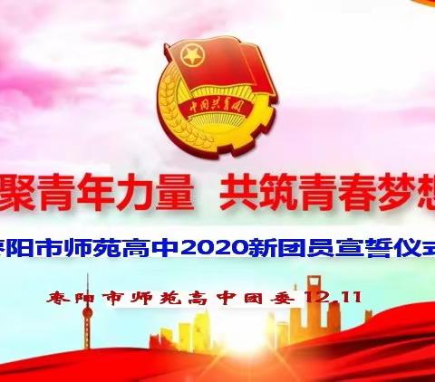 凝聚青年力量 共筑青春梦想——枣阳市师苑高中2020年新团员入团宣誓仪式