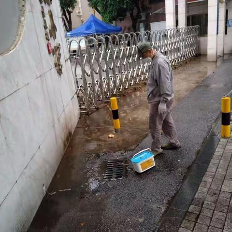 2018年6月6日  对北滘居委南源东小组跃进东小组进行木塞吊放和投放老鼠谷