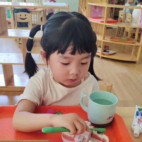 我的幼儿园生活