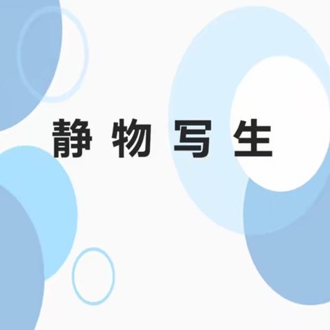 停课不停学——拥军一小在线推送美术课之《静物写生》