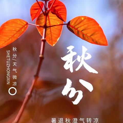 秋分