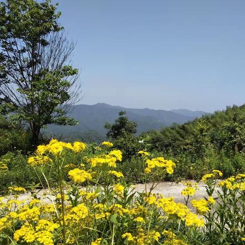 文学世界里的鄱阳莲花山，与您所看到或所知道的有什么不一样，您还不抓紧时间瞅瞅？