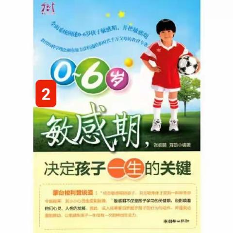 读书分享《0--6岁敏感期，决定孩子一生的关键》