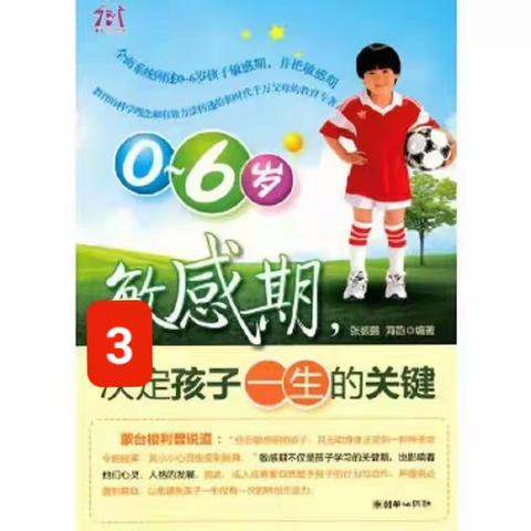 读书分享《0--6岁敏感期，决定孩子一生的关键》