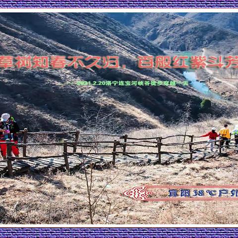 草树知春不久归，百般红紫斗芳菲 ——2021.2.20洛宁连宝河峡谷徒步穿越一天