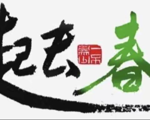 汇龙幼儿园中班——🍀“炊烟袅袅” 🍀亲子野炊活动！