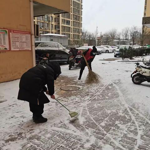 【“双争”有我·新时代邻里节】“铲雪除冰 情暖寒冬”志愿者活动