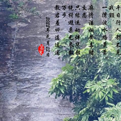 草木美篇——定风波两首