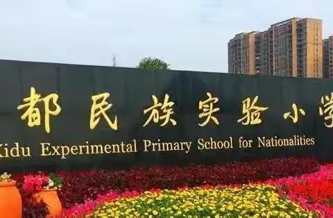 我们是绚烂多彩的萤火虫——硒都民族实验小学114班萤火虫中队