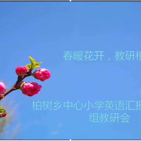 春暖花开，教研相伴——柏树小学英语汇报课评课及文科组教研会活动