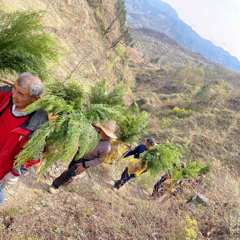 二龙山林场坚持“两手抓、两不误”实现春季林业工作“开门红”