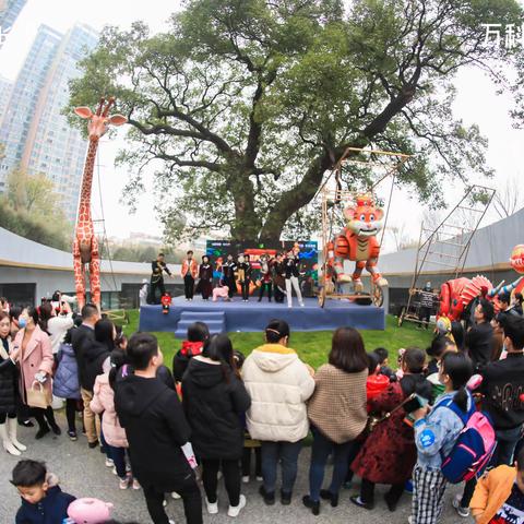 大型木偶剧，花魁艺术剧团，联系方式