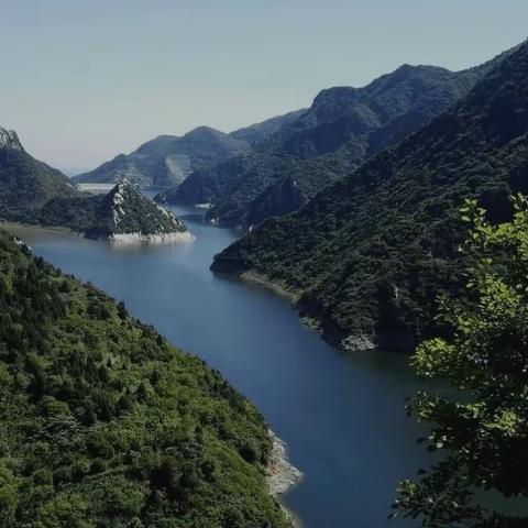 周至县农业农村局举办蜜蜂养殖技术培训会   全面助力乡村振兴