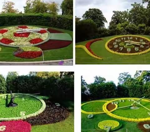 感知自然之美——花钟   丁家中心小学语文教研活动