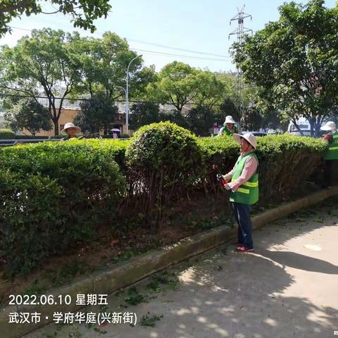 2022年6月10日江夏区城区道路、公园养护工作简报