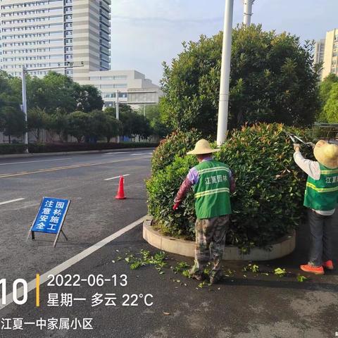 2022年6月13日江夏区城区道路、公园养护工作简报