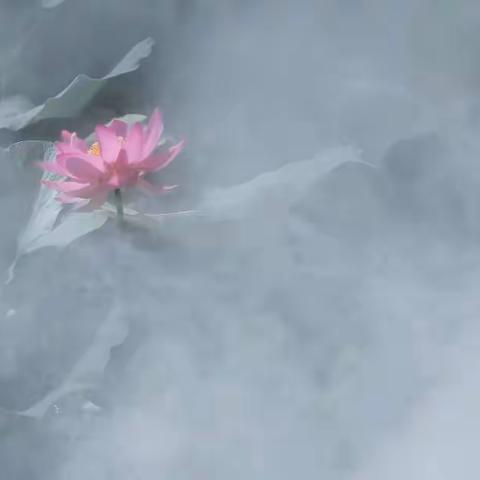 秦川的美篇