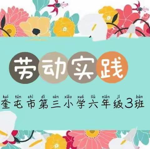 “不负时光，实践在线”六3班同学们在劳动实践中成长