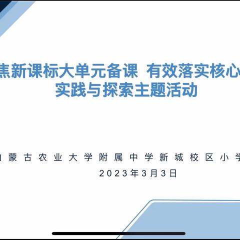 新城区爱民街小学“聚焦新课标大单元备课 ，有效落实核心素养”实践与探索活动纪实