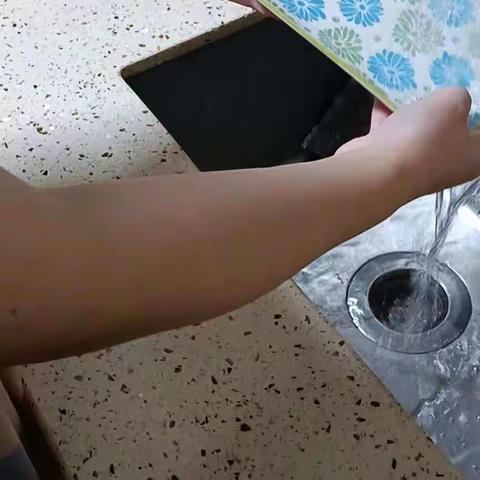 弘扬生态文明，建设绿色校园初二八班
