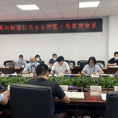 园山街道开展打击无证行医暨健康教育与健康促进联席工作会议