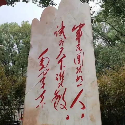 黎明之光的美篇