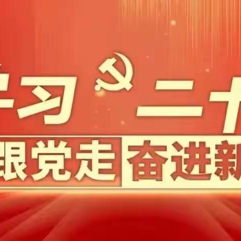 双井小学党支部开展学习贯彻党的二十大精神专题党课