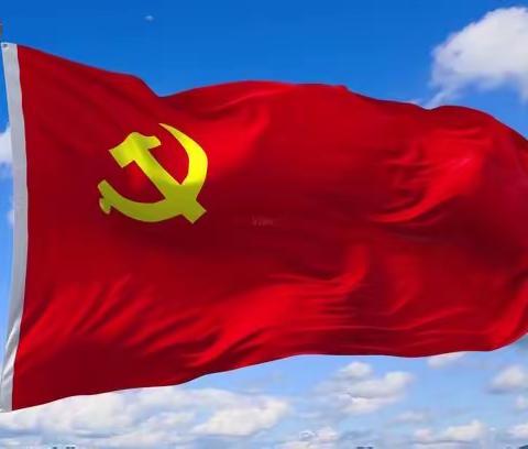 党旗飘扬的地方，就有力量和希望