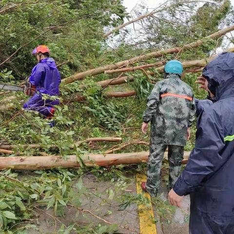 雷鸣镇开展人居环境整治暨“圆规”台风后爱国卫生运动