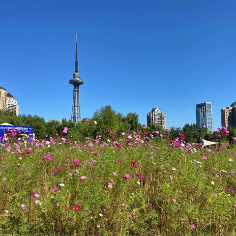 湘江公园仲秋游