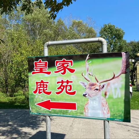 皇家鹿苑悠闲游