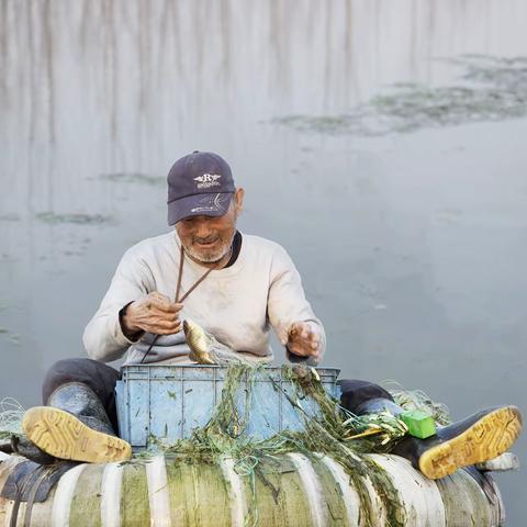 蓝色海洋的美片（盐池滩羊肉专卖店）