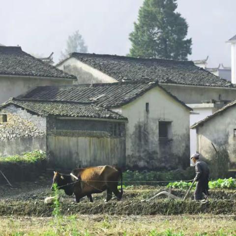 徽派建筑（二）：徽州聚落