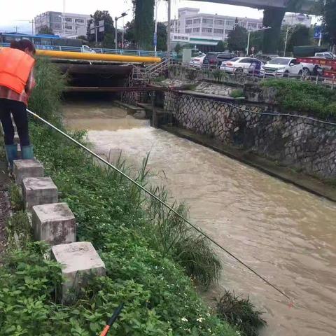 同安河长在行动（祥和篇）的美篇