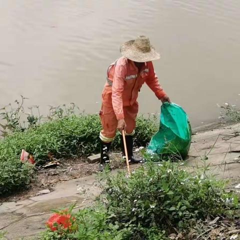 同安河长在行动（祥和篇）的美篇