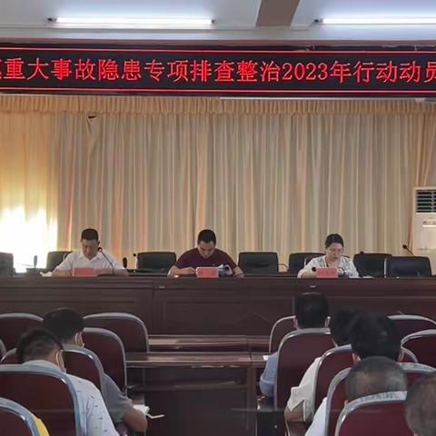 大安镇开展2023年重大事故隐患专项排查整治行动动员部署会