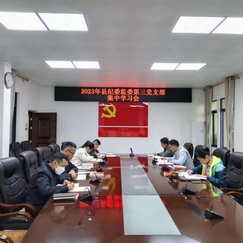 县纪委监委第三党支部召开会议专题学习二十届中央纪委二次全会精神