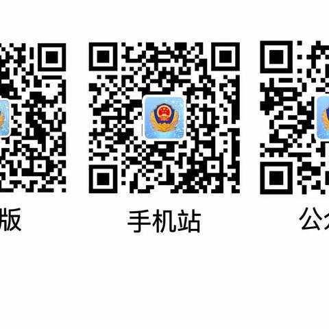 互联网+ 政务服务