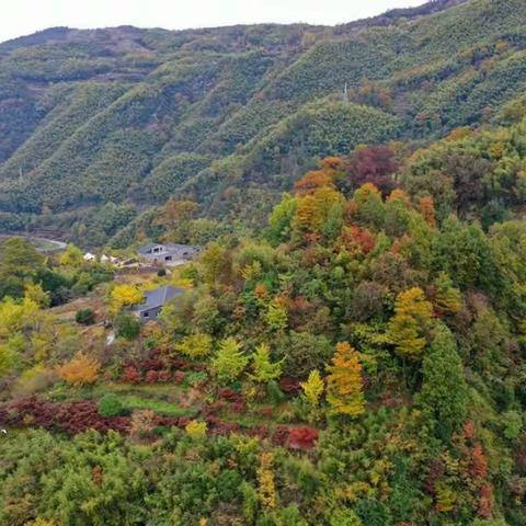 户外｜宁波李家坑古村落之行，四明山中有人家