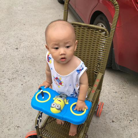 多米一周留念