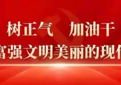 岳城镇开展9月份主题党日活动，真抓实干，担当担责