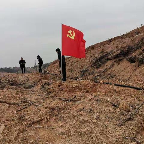 强化党建引领   赋能乡村振兴