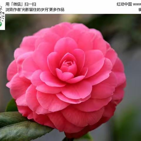 --花一样的年纪，花一样的生活--莒县沭东实验学校七年级一班-            第四天生活纪实