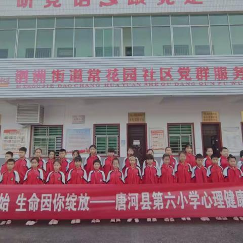 “健康从心开始，生命因你绽放”唐河县第六小学开展心理健康教育进社区活动